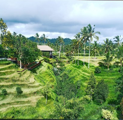 Desa Mekarsari